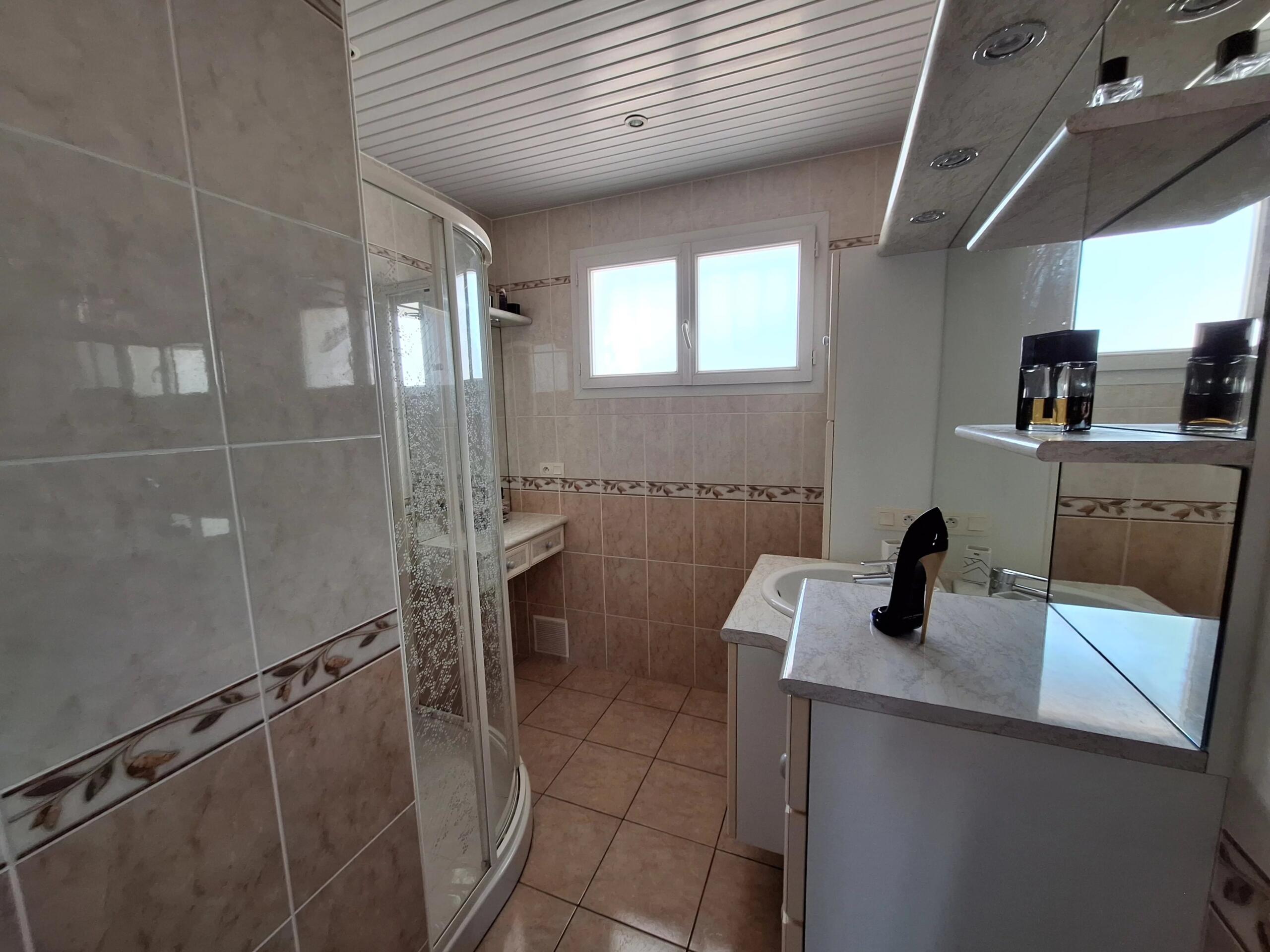Beautifully presented property with revenue potential, Poitou-Charentes – France – BVI85663