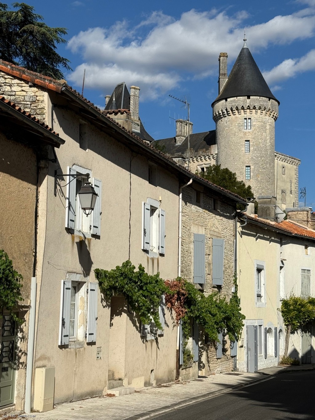 2 bedroom House in Verteuil-Sur-Charente, France – r7534