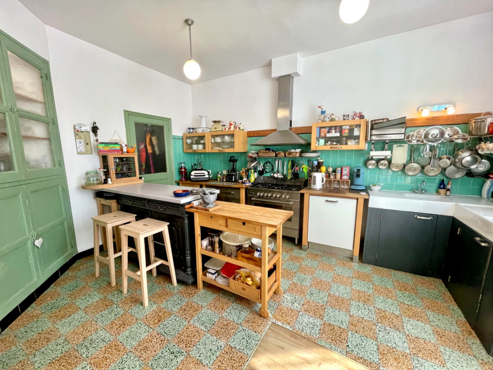 Spacious family home with business potential and pool in Occitanie