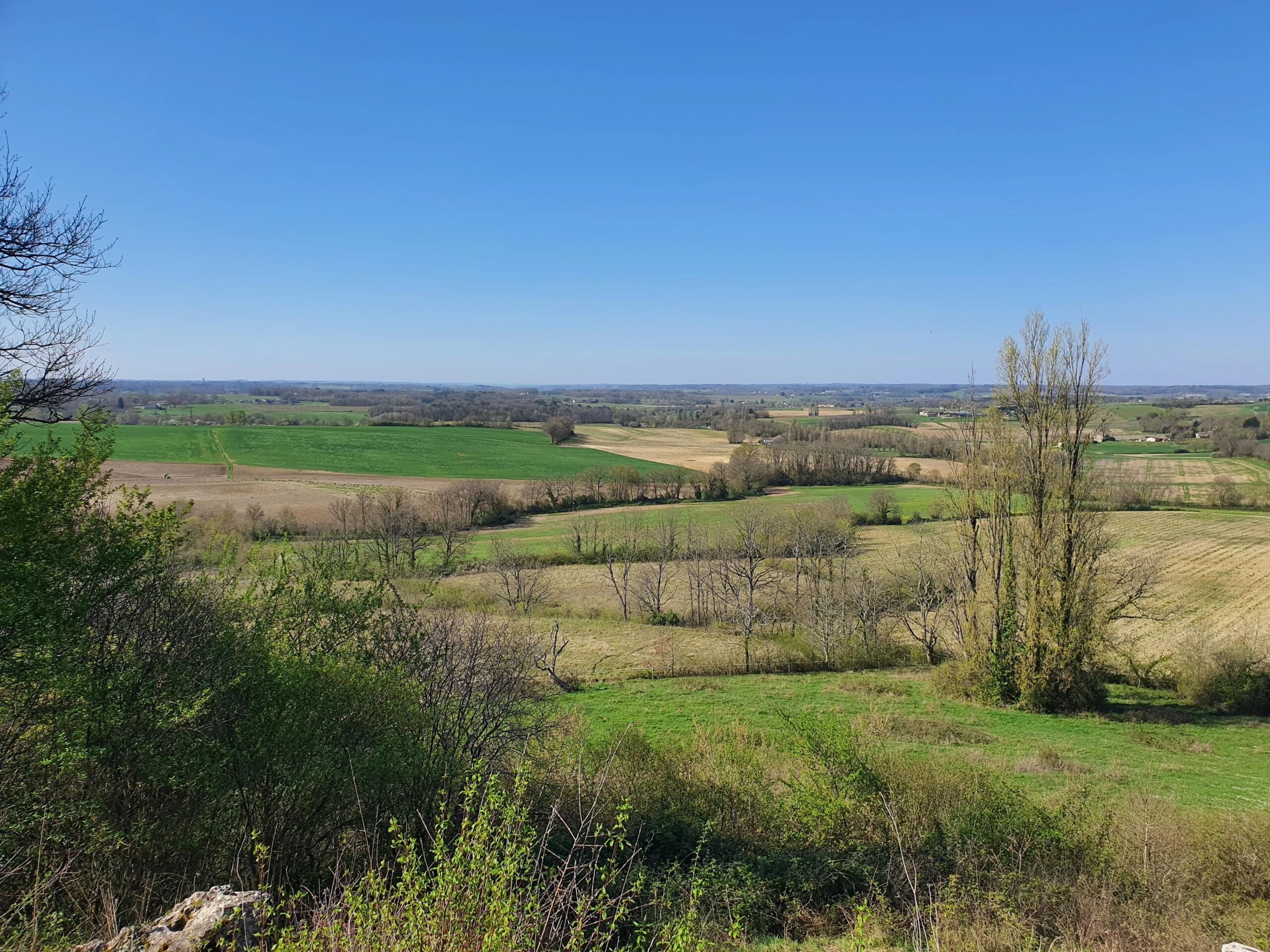 Single storey property in quiet location, Aquitaine – France – BVI86118