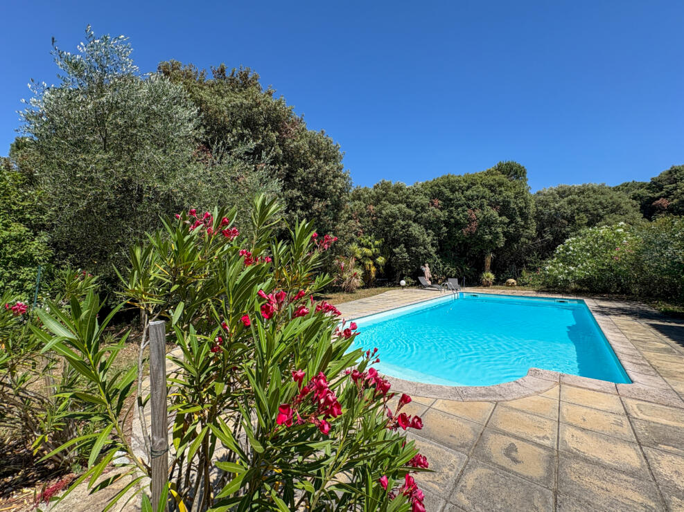 Exceptional Contemporary Villa with Independent Gîte, Pool and 5,000m² Landscaped Gardens in Montolieu