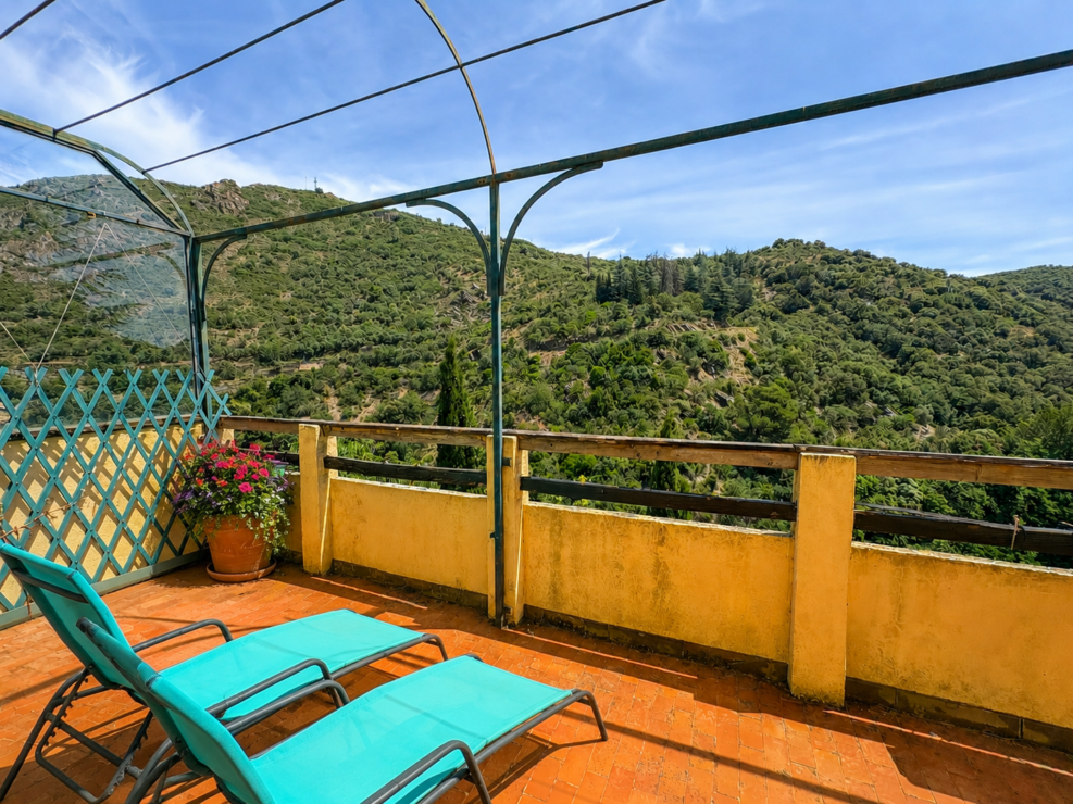 Character Home with Terraces, Garden & Spectacular Views in the Heart of Lastours