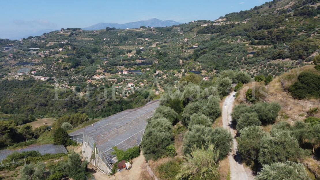 EM1342 Sea View Building Plot for Sale in Seborga – 17,711 sqm