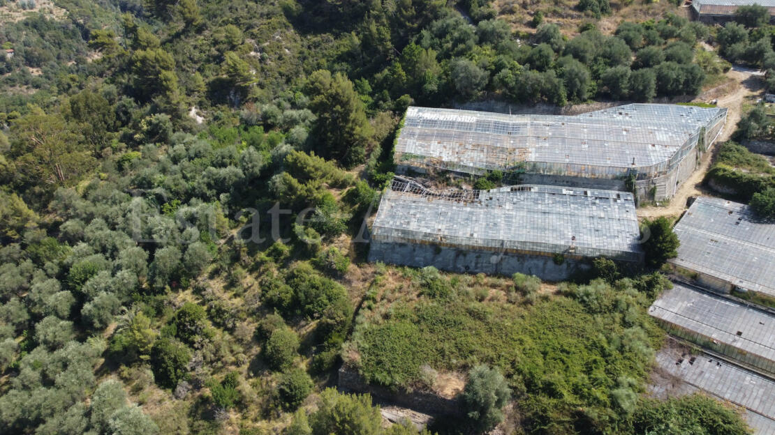 EM1342 Sea View Building Plot for Sale in Seborga – 17,711 sqm