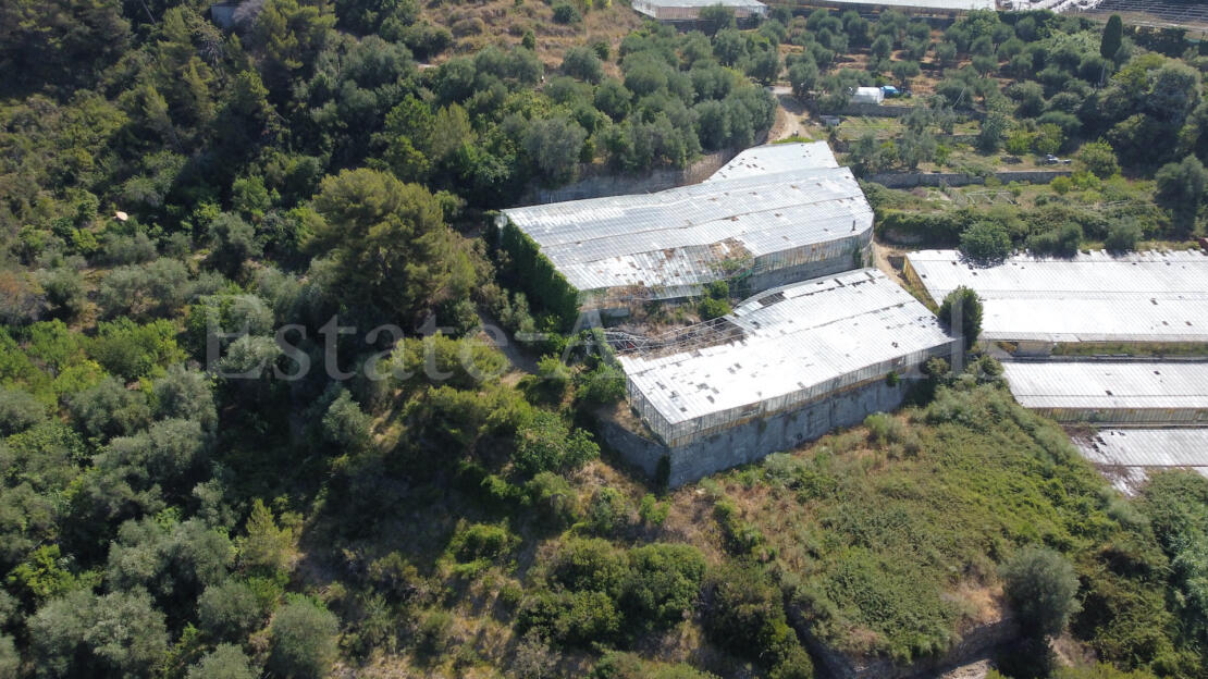 EM1342 Sea View Building Plot for Sale in Seborga – 17,711 sqm
