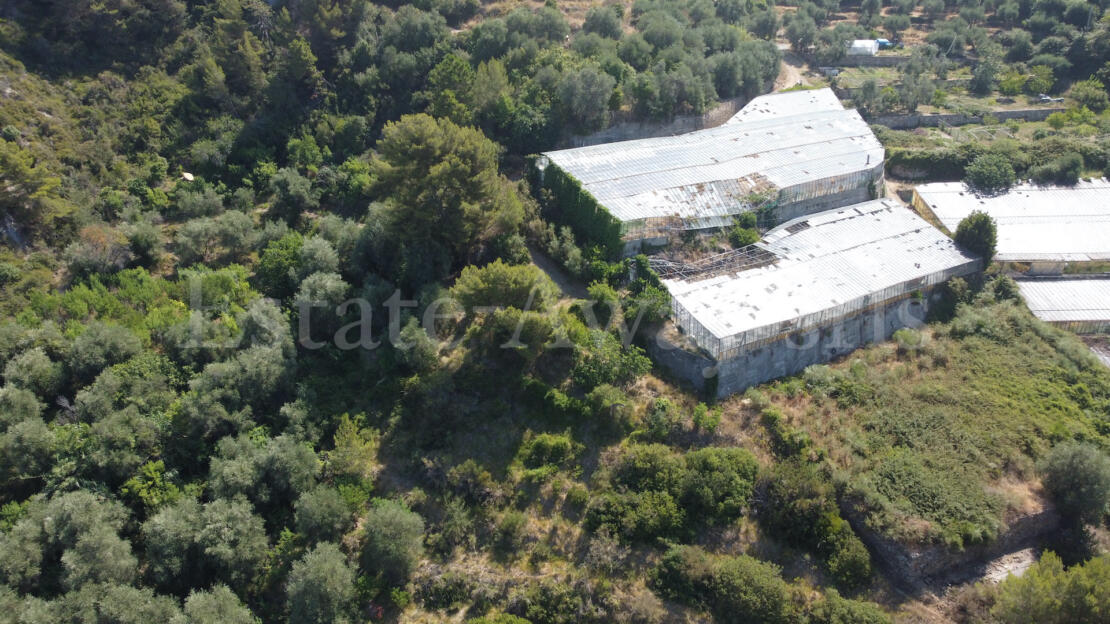 EM1342 Sea View Building Plot for Sale in Seborga – 17,711 sqm