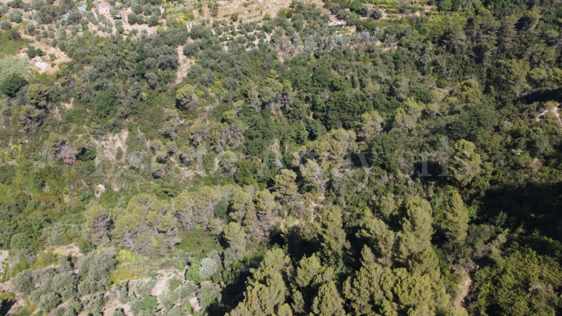 EM1342 Sea View Building Plot for Sale in Seborga – 17,711 sqm