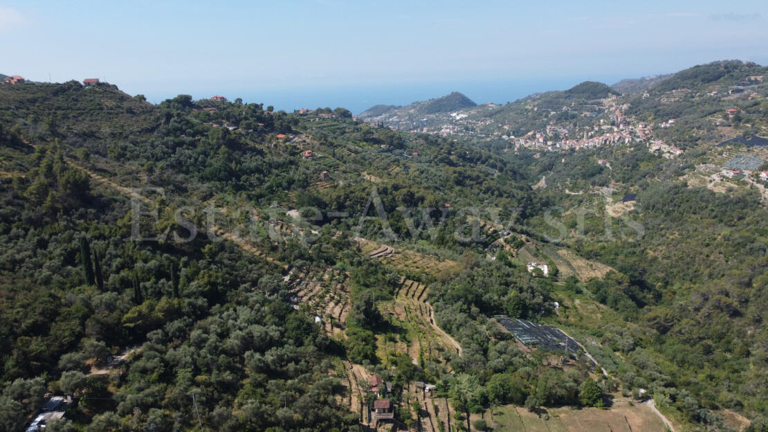 EM1342 Sea View Building Plot for Sale in Seborga – 17,711 sqm