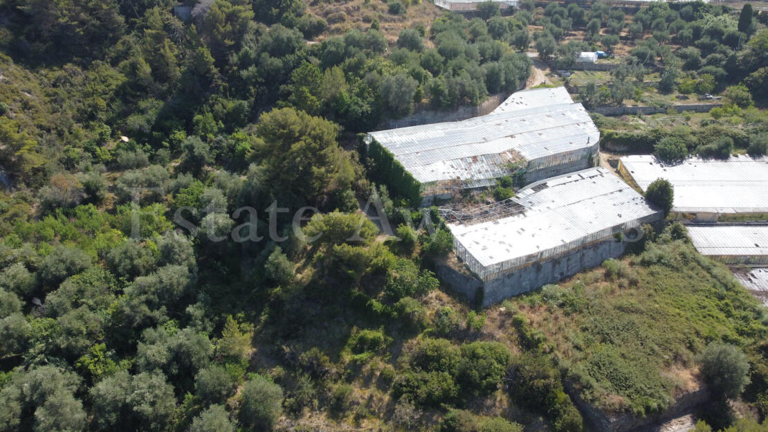 EM1342 Sea View Building Plot for Sale in Seborga – 17,711 sqm