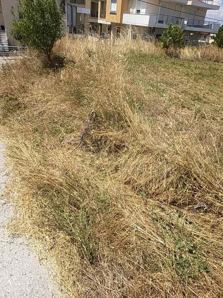 Land in Epanomi, Thessaloniki – Suburbs, Greece – GDOMV3