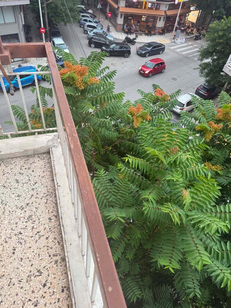 3 bedroom Flat in Analipsi – Mpotsari – Nea Paralia, Thessaloniki – Municipality, Greece – 66456