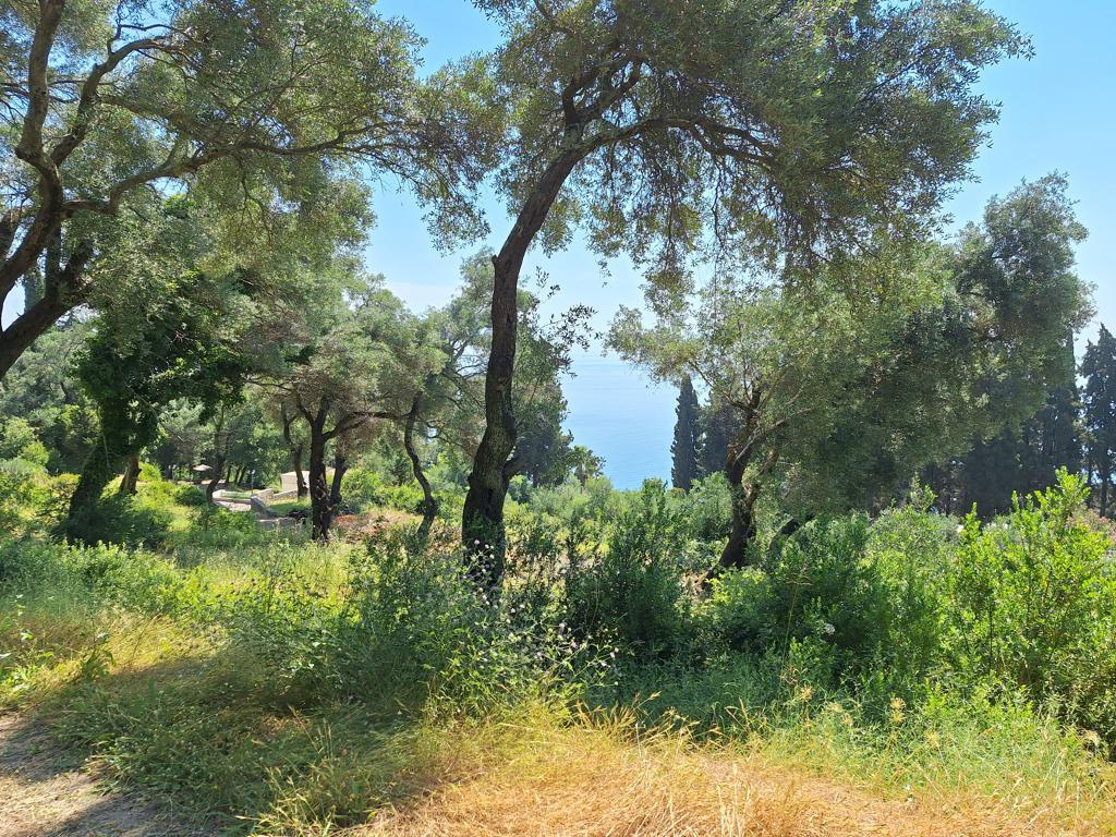 Land in Corfu, Corfu Prefecture, Greece – 66390