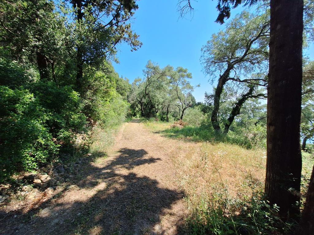 Land in Corfu, Corfu Prefecture, Greece – 66376