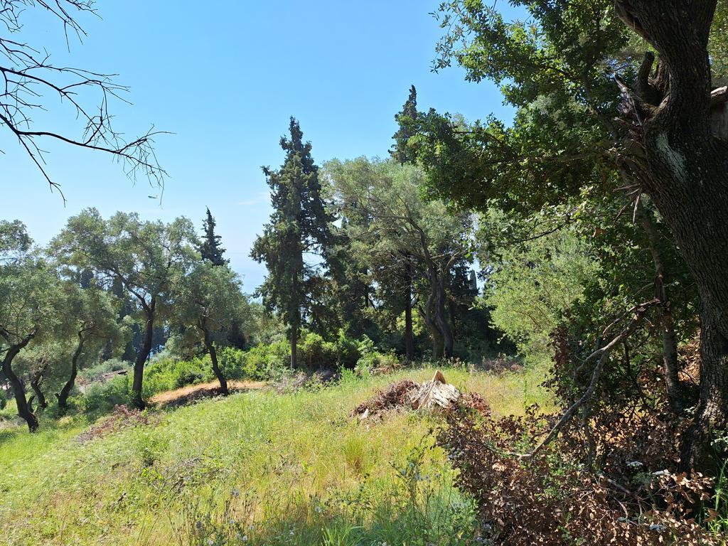Land in Corfu, Corfu Prefecture, Greece – 66376