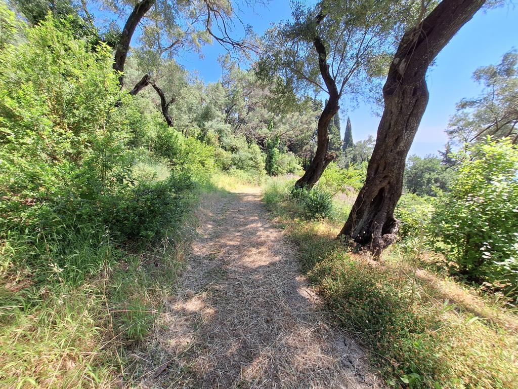 Land in Corfu, Corfu Prefecture, Greece – 66375