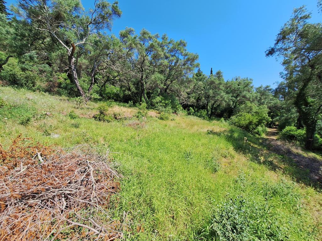 Land in Corfu, Corfu Prefecture, Greece – 66375