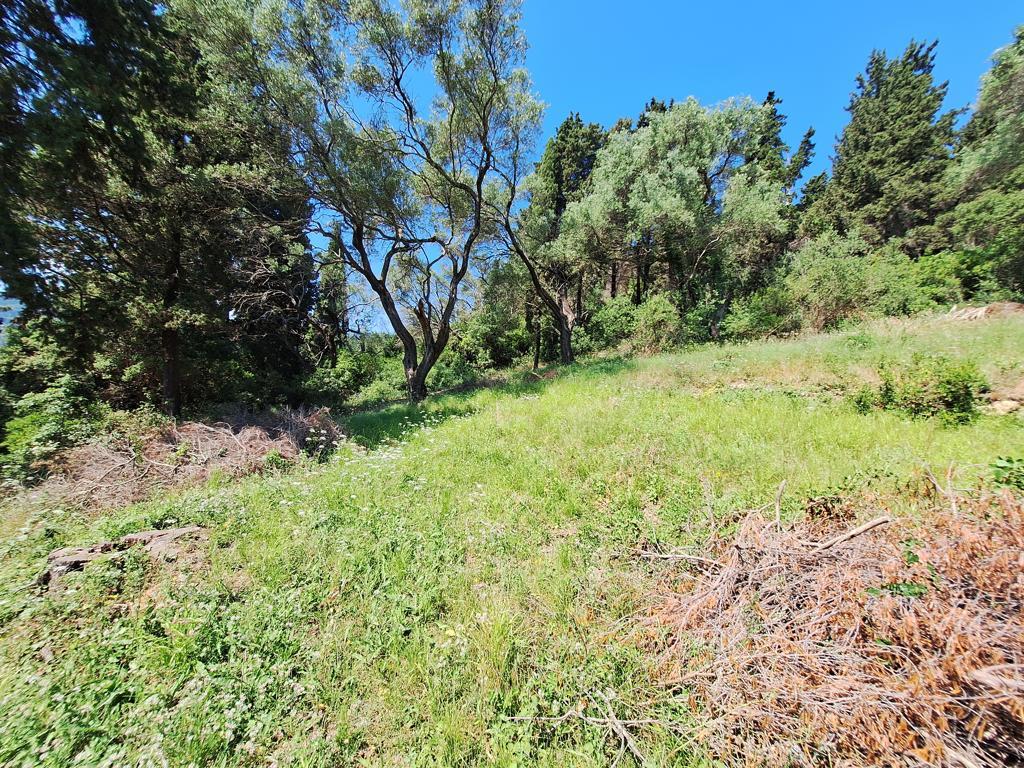 Land in Corfu, Corfu Prefecture, Greece – 66375