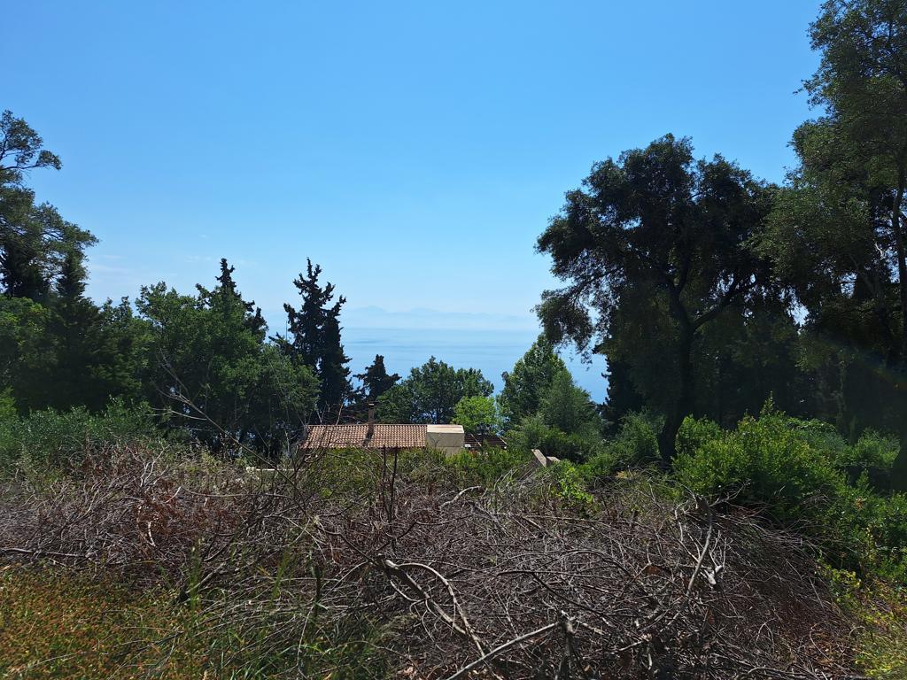 Land in Corfu, Corfu Prefecture, Greece – GDOMV3