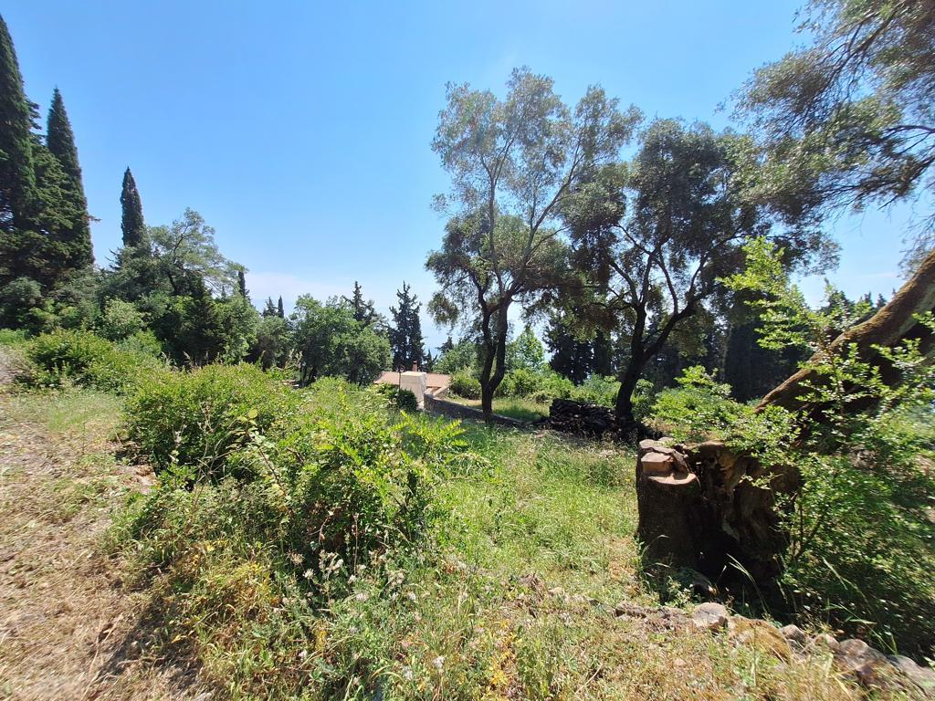 Land in Corfu, Corfu Prefecture, Greece – 66374