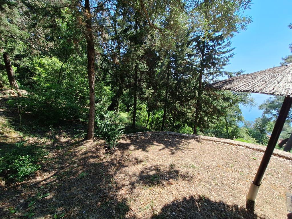Land in Corfu, Corfu Prefecture, Greece – 66374