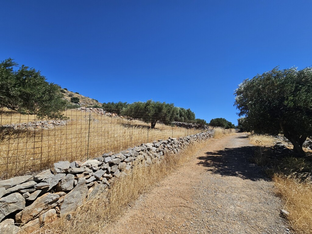 Land in Agios Nikolaos, Lasithi Prefecture, Greece – 66367