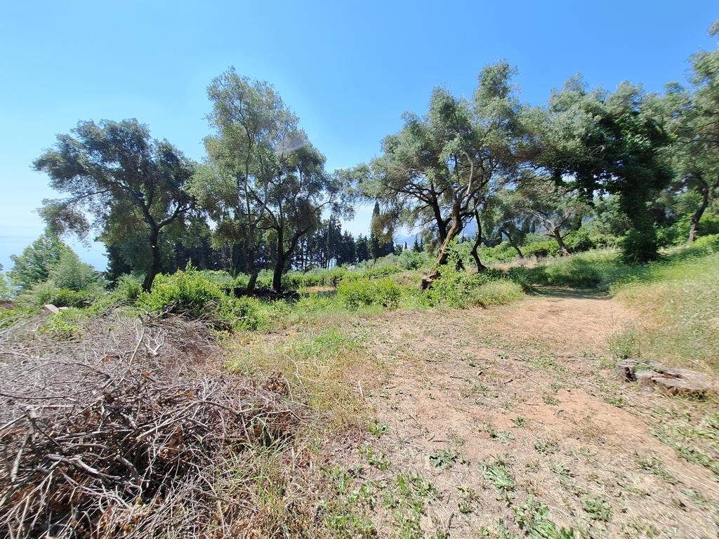 Land in Corfu, Corfu Prefecture, Greece – GDOMV3
