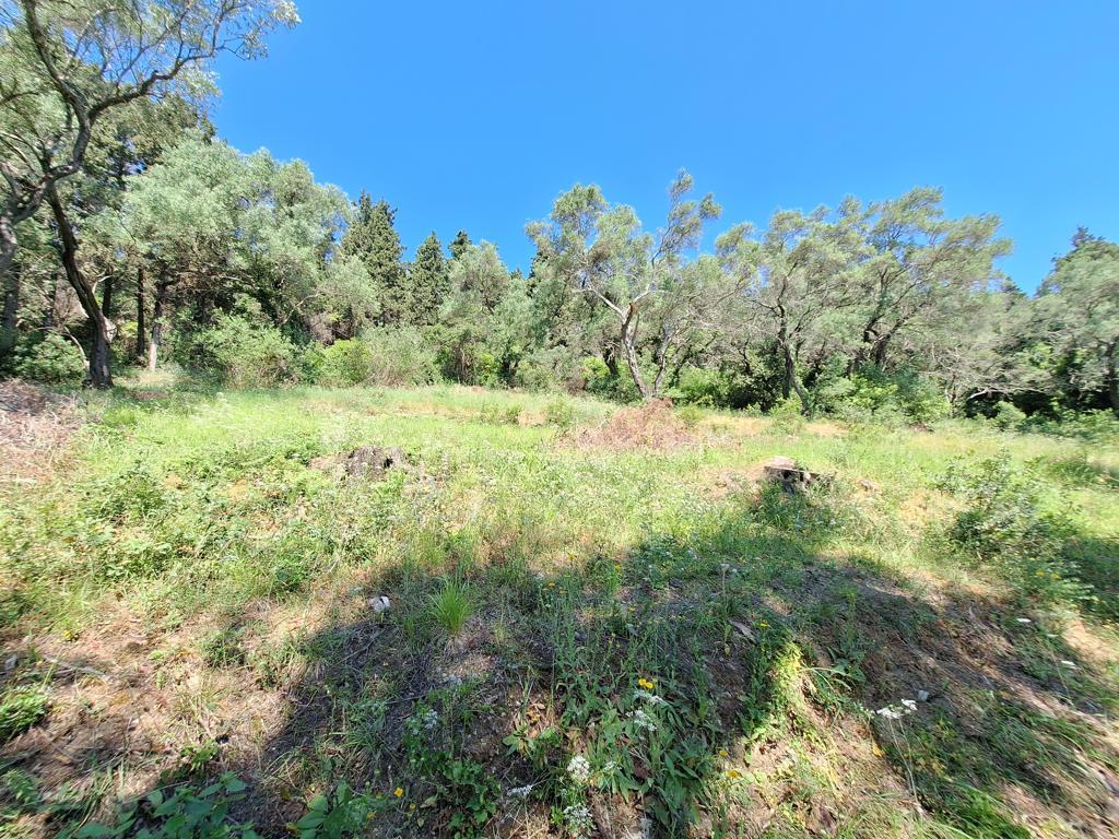 Land in Corfu, Corfu Prefecture, Greece – GDOMV3