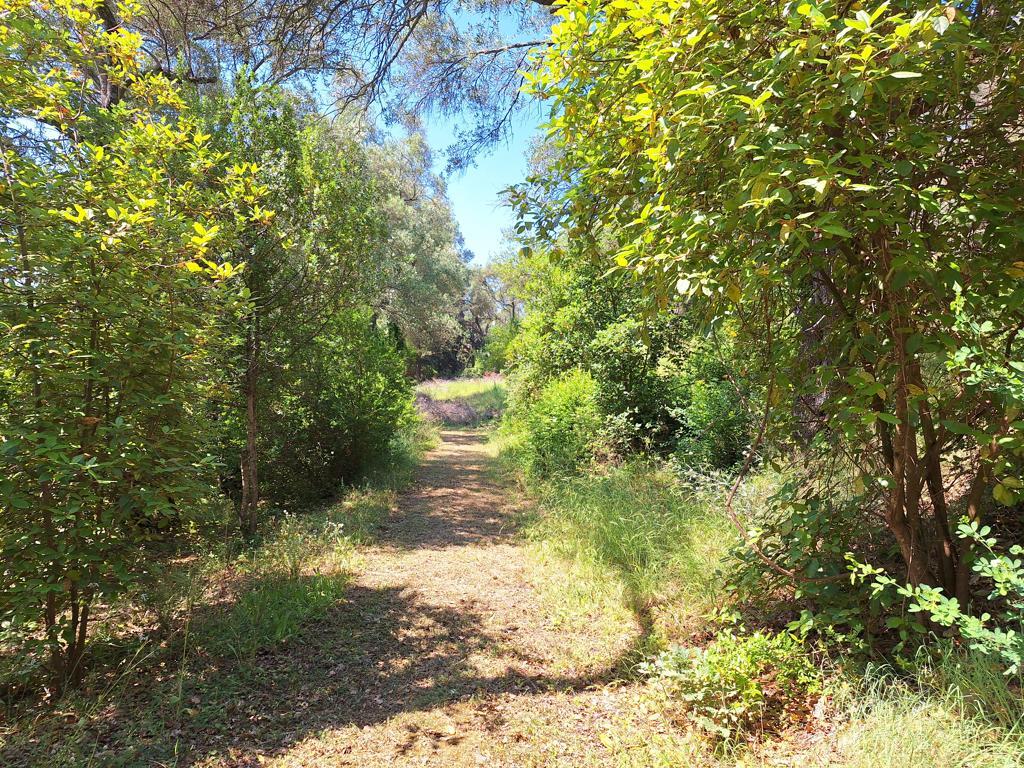 Land in Corfu, Corfu Prefecture, Greece – GDOMV3