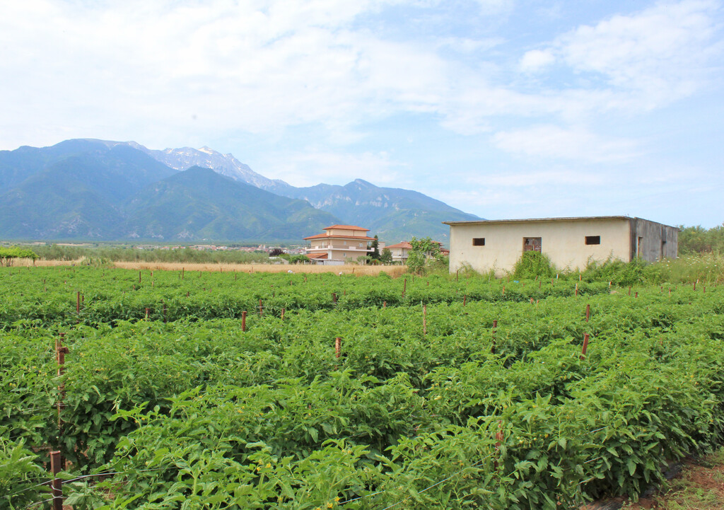 Land in Dion, Pieria Prefecture, Greece – GDOMV3