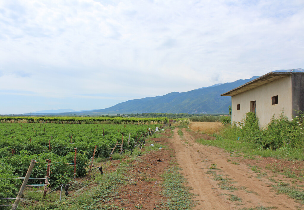 Land in Dion, Pieria Prefecture, Greece – GDOMV3