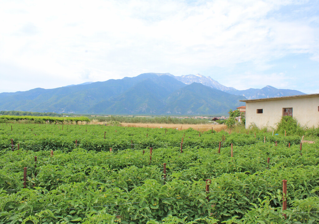 Land in Dion, Pieria Prefecture, Greece – GDOMV3