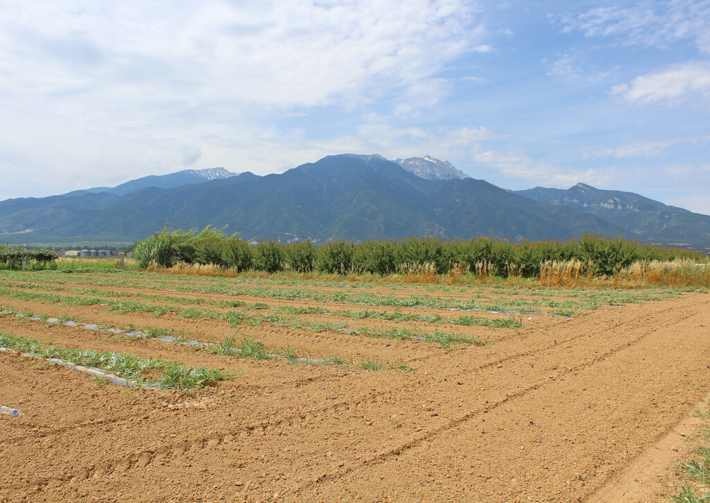 Land in Dion, Pieria Prefecture, Greece – GDOMV3