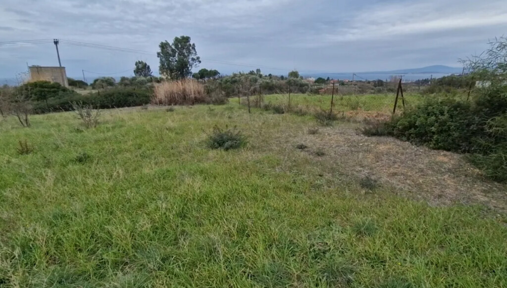 Land in Kassandra, Chalkidiki, Greece – 66307