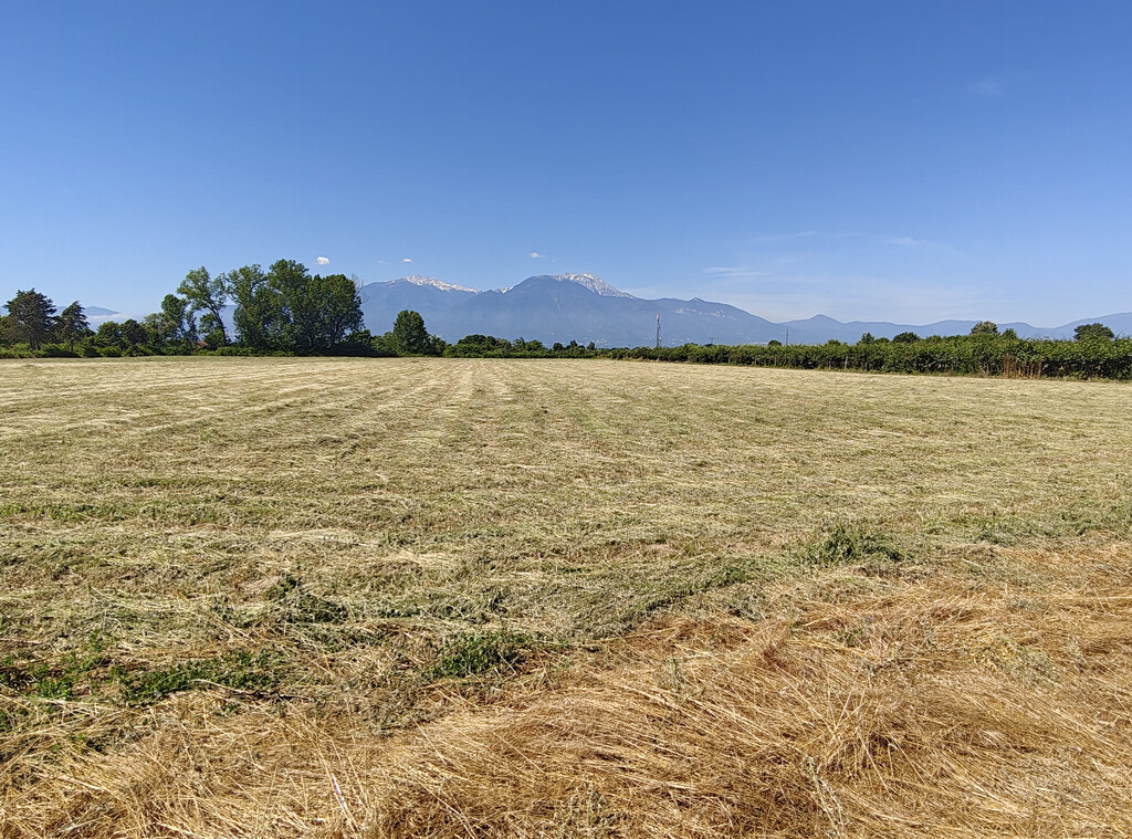 Land in Katerini, Pieria Prefecture, Greece – GDOMV3