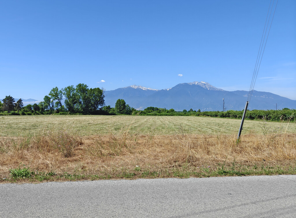 Land in Katerini, Pieria Prefecture, Greece – GDOMV3