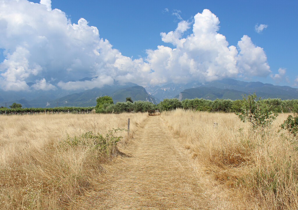 Land in Litochoro, Pieria Prefecture, Greece – GDOMV3