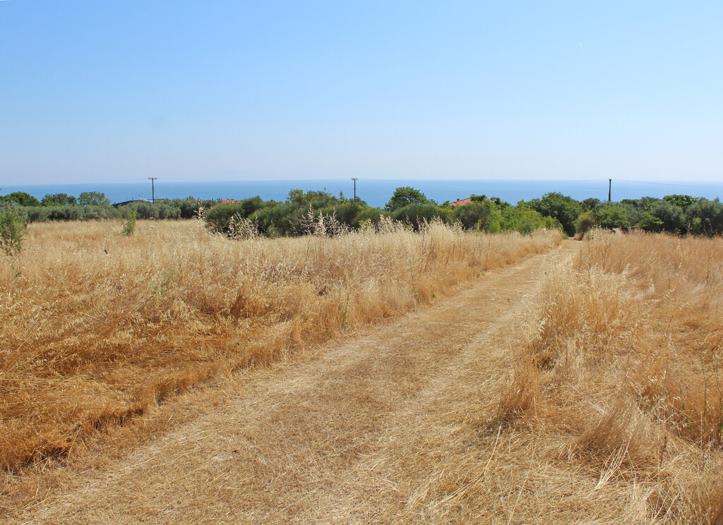 Land in Litochoro, Pieria Prefecture, Greece – 66295