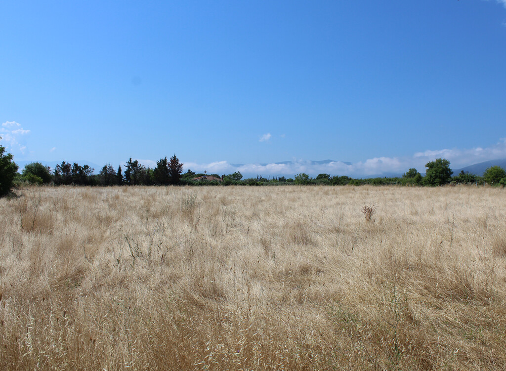 Land in Litochoro, Pieria Prefecture, Greece – 66295