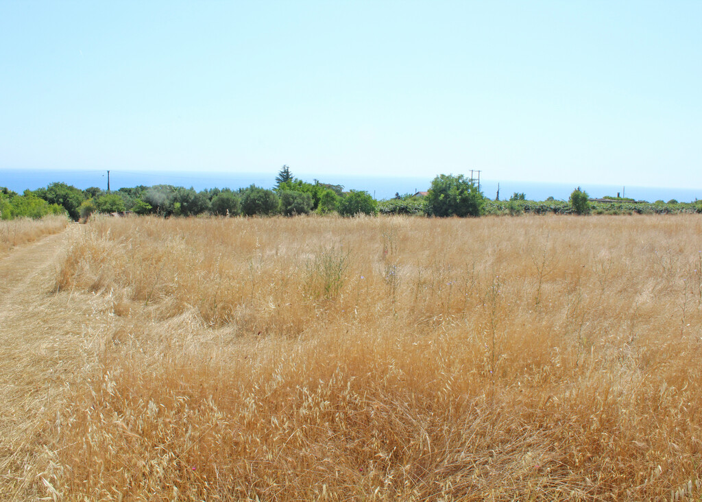 Land in Litochoro, Pieria Prefecture, Greece – 66295