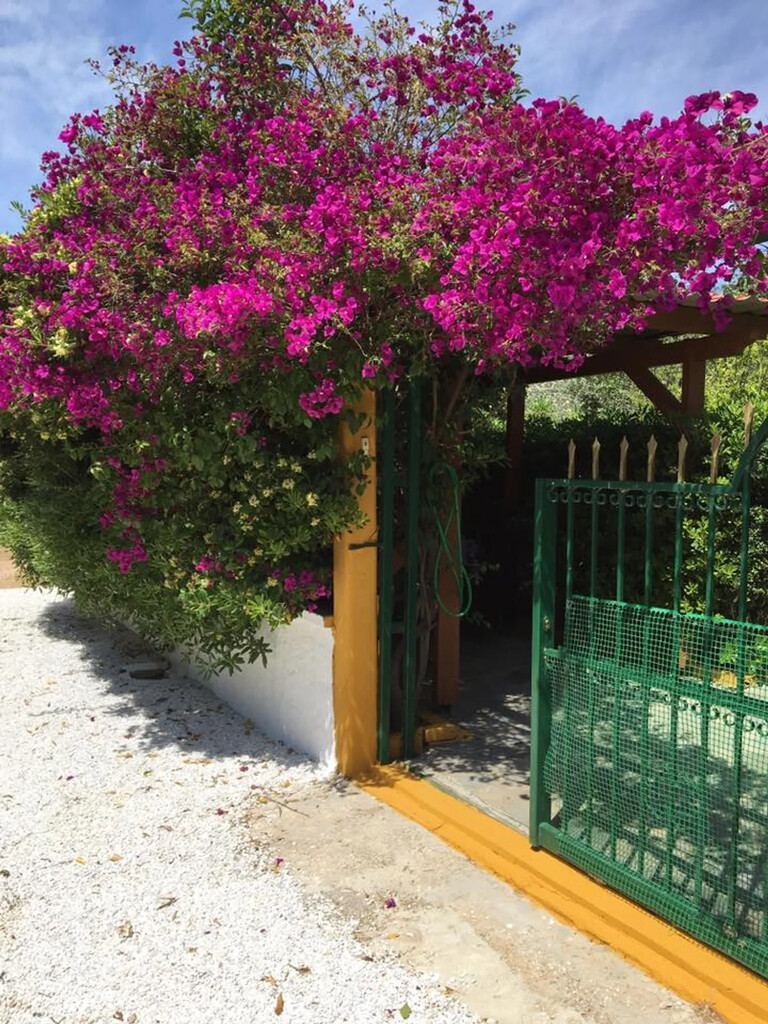 3 bedroom Detached house in Marathonas, Athens – East, Greece – 66292