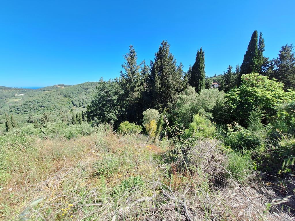 Land in Corfu, Corfu Prefecture, Greece – GDOMV3