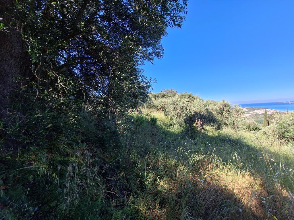 Land in Corfu, Corfu Prefecture, Greece – GDOMV3