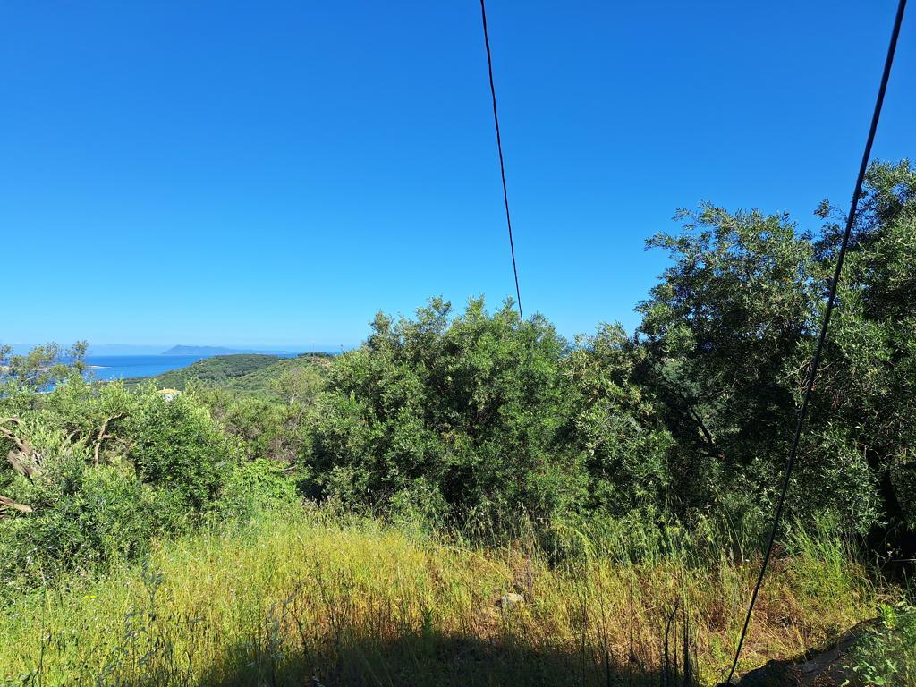 Land in Corfu, Corfu Prefecture, Greece – GDOMV3