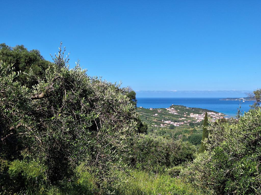 Land in Corfu, Corfu Prefecture, Greece – GDOMV3