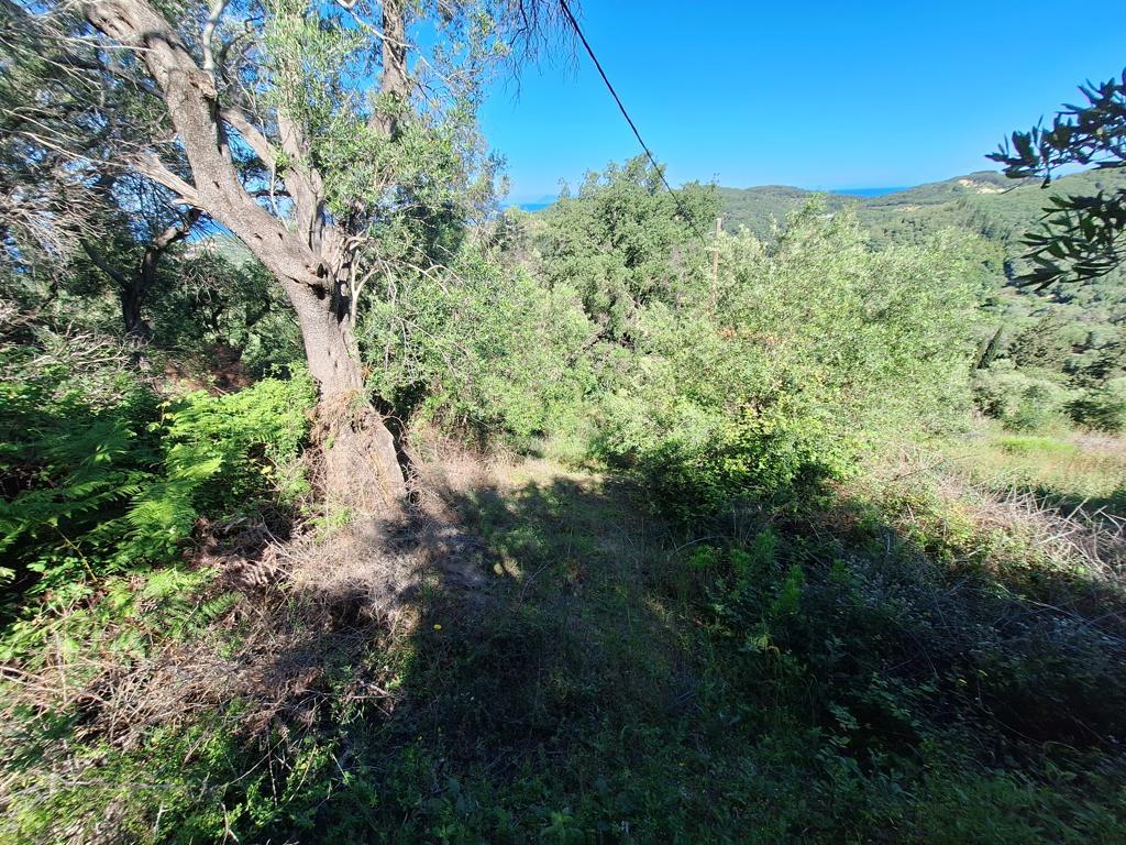 Land in Corfu, Corfu Prefecture, Greece – GDOMV3