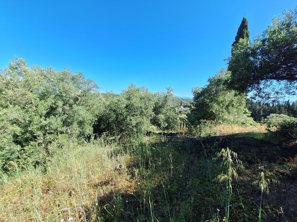 Land in Corfu, Corfu Prefecture, Greece – GDOMV3