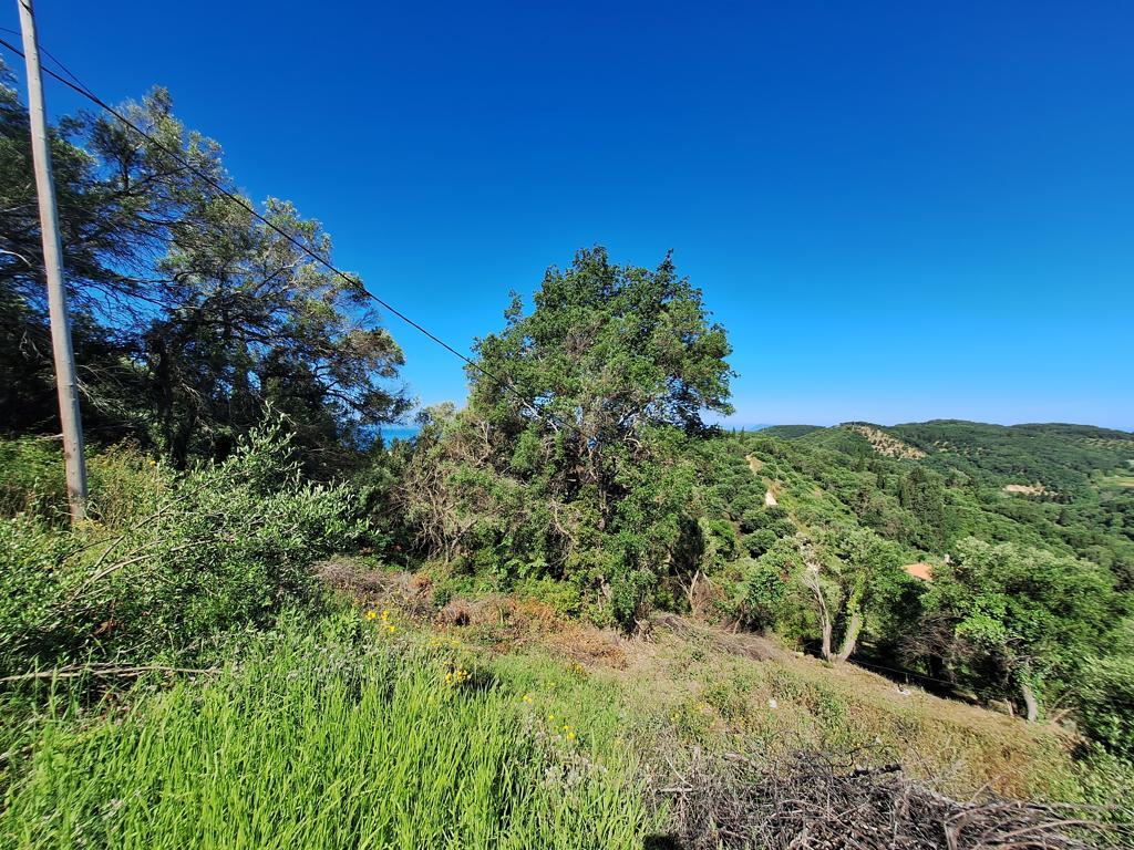 Land in Corfu, Corfu Prefecture, Greece – GDOMV3