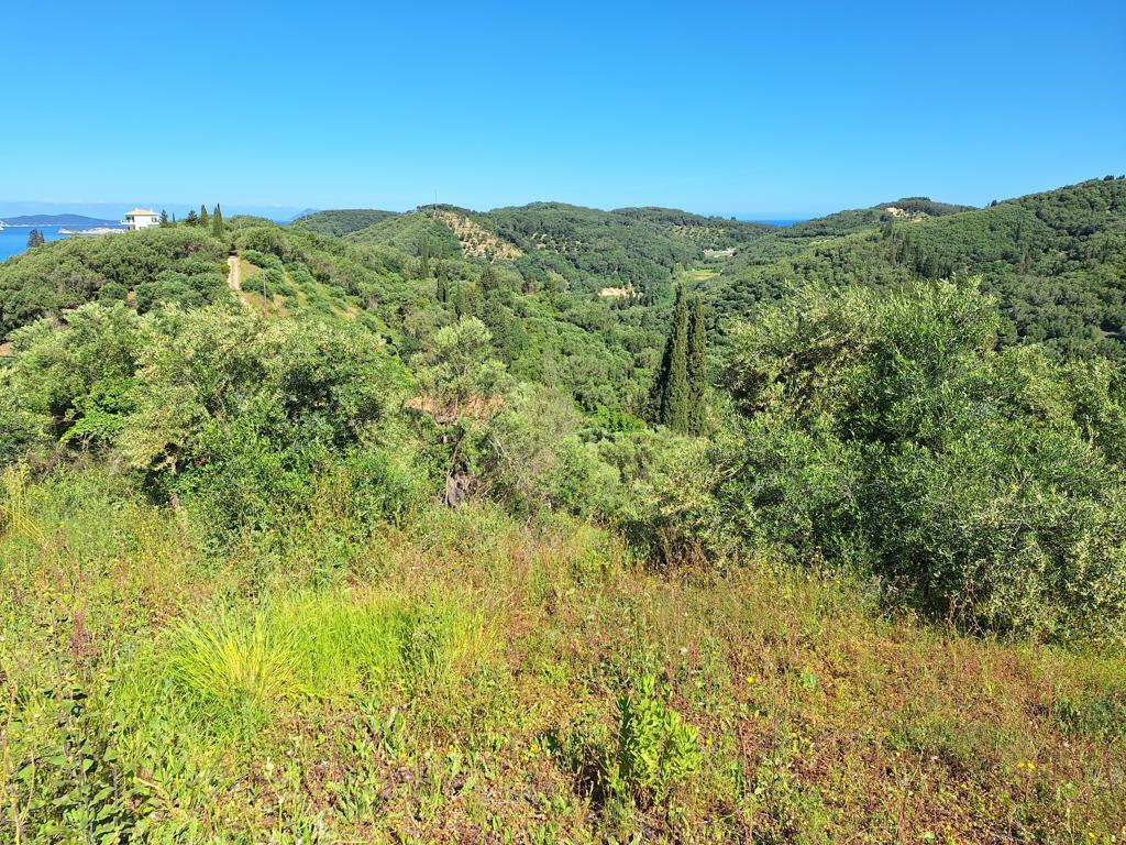 Land in Corfu, Corfu Prefecture, Greece – GDOMV3
