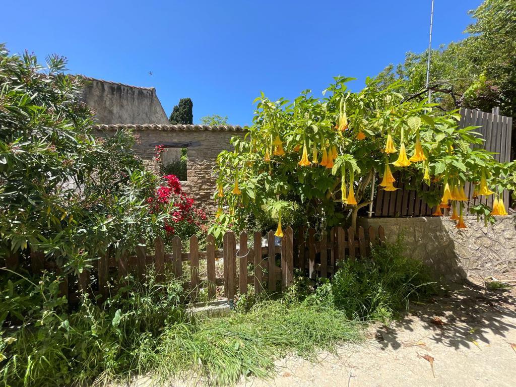 Land in Corfu, Corfu Prefecture, Greece – GDOMV3