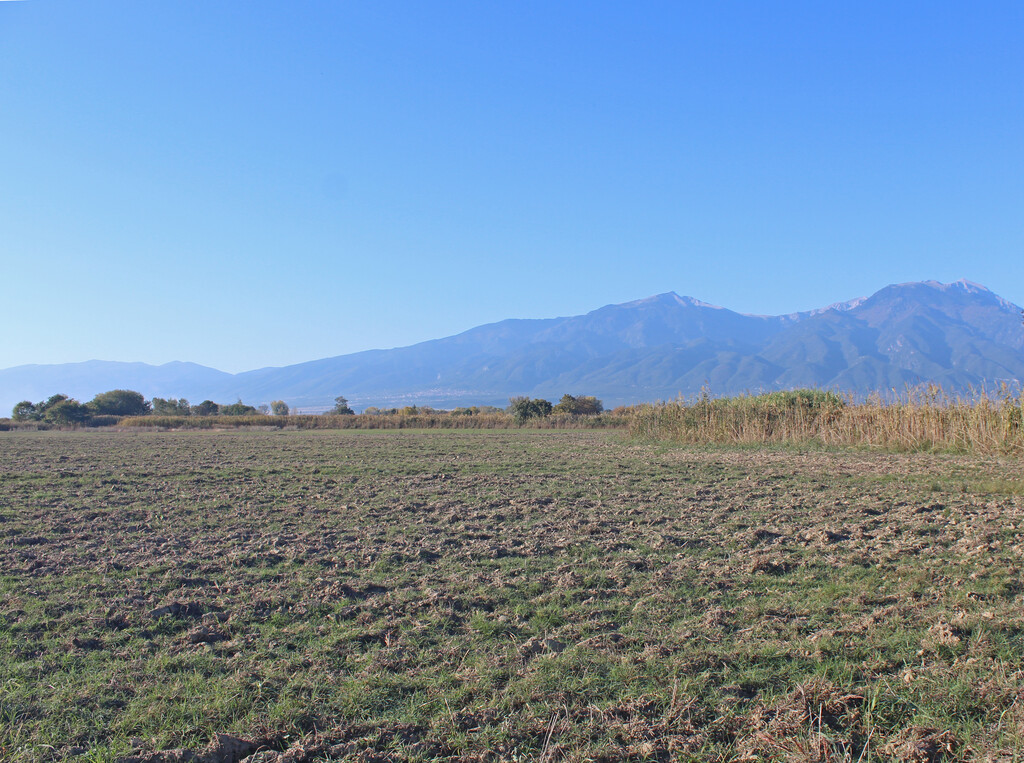 Land in Litochoro, Pieria Prefecture, Greece – GDOMV3